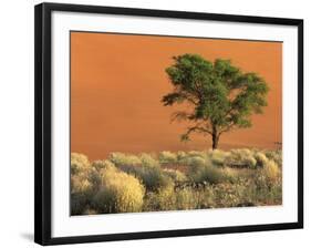 Sossusvlei Dunes, Namib National Park, Namibia-Art Wolfe-Framed Photographic Print