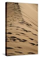 Sossusvlei Dunes-watchtheworld-Stretched Canvas