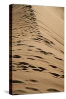 Sossusvlei Dunes-watchtheworld-Stretched Canvas