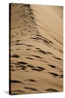 Sossusvlei Dunes-watchtheworld-Stretched Canvas