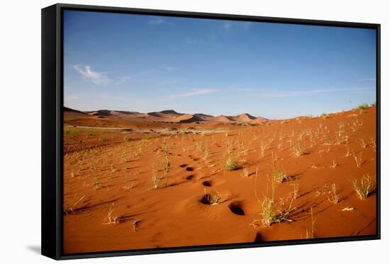 Sossusvlei Dunes-watchtheworld-Framed Stretched Canvas