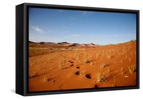 Sossusvlei Dunes-watchtheworld-Framed Stretched Canvas