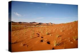 Sossusvlei Dunes-watchtheworld-Stretched Canvas