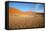 Sossusvlei Dunes-watchtheworld-Framed Stretched Canvas