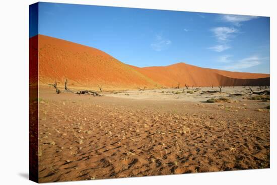 Sossusvlei Dunes-watchtheworld-Stretched Canvas