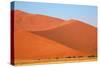 Sossusvlei Dunes-watchtheworld-Stretched Canvas