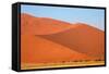 Sossusvlei Dunes-watchtheworld-Framed Stretched Canvas