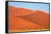 Sossusvlei Dunes-watchtheworld-Framed Stretched Canvas