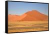 Sossusvlei Dunes-watchtheworld-Framed Stretched Canvas