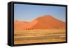 Sossusvlei Dunes-watchtheworld-Framed Stretched Canvas