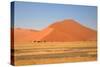 Sossusvlei Dunes-watchtheworld-Stretched Canvas