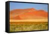 Sossusvlei Dunes-watchtheworld-Framed Stretched Canvas