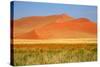 Sossusvlei Dunes-watchtheworld-Stretched Canvas