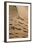 Sossusvlei Dunes-watchtheworld-Framed Photographic Print