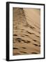 Sossusvlei Dunes-watchtheworld-Framed Photographic Print