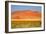 Sossusvlei Dunes-watchtheworld-Framed Photographic Print