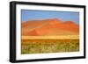 Sossusvlei Dunes-watchtheworld-Framed Photographic Print