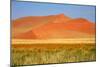 Sossusvlei Dunes-watchtheworld-Mounted Photographic Print