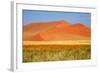 Sossusvlei Dunes-watchtheworld-Framed Photographic Print