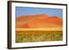 Sossusvlei Dunes-watchtheworld-Framed Photographic Print