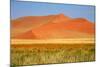 Sossusvlei Dunes-watchtheworld-Mounted Photographic Print