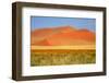 Sossusvlei Dunes-watchtheworld-Framed Photographic Print