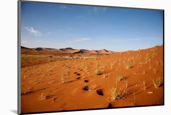 Sossusvlei Dunes-watchtheworld-Mounted Photographic Print