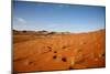 Sossusvlei Dunes-watchtheworld-Mounted Photographic Print