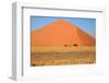 Sossusvlei Dunes-watchtheworld-Framed Photographic Print