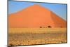 Sossusvlei Dunes-watchtheworld-Mounted Photographic Print