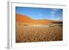 Sossusvlei Dunes-watchtheworld-Framed Photographic Print