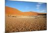 Sossusvlei Dunes-watchtheworld-Mounted Photographic Print