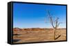 Sossusvlei, Namib Desert, Namib-Naukluft National Park, Namibia.-Nico Tondini-Framed Stretched Canvas