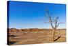 Sossusvlei, Namib Desert, Namib-Naukluft National Park, Namibia.-Nico Tondini-Stretched Canvas