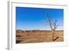 Sossusvlei, Namib Desert, Namib-Naukluft National Park, Namibia.-Nico Tondini-Framed Photographic Print