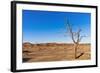 Sossusvlei, Namib Desert, Namib-Naukluft National Park, Namibia.-Nico Tondini-Framed Photographic Print