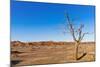 Sossusvlei, Namib Desert, Namib-Naukluft National Park, Namibia.-Nico Tondini-Mounted Photographic Print