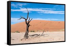 Sossusvlei, Namibia-Ivana Tacikova-Framed Stretched Canvas