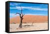 Sossusvlei, Namibia-Ivana Tacikova-Framed Stretched Canvas