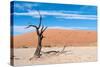 Sossusvlei, Namibia-Ivana Tacikova-Stretched Canvas