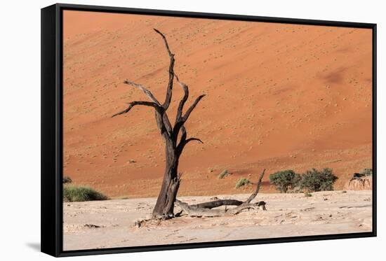 Sossusvlei, Namibia-Ivana Tacikova-Framed Stretched Canvas