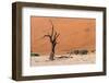 Sossusvlei, Namibia-Ivana Tacikova-Framed Photographic Print