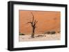 Sossusvlei, Namibia-Ivana Tacikova-Framed Photographic Print