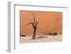 Sossusvlei, Namibia-Ivana Tacikova-Framed Photographic Print