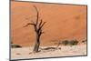 Sossusvlei, Namibia-Ivana Tacikova-Mounted Photographic Print