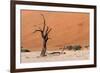 Sossusvlei, Namibia-Ivana Tacikova-Framed Photographic Print