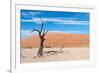 Sossusvlei, Namibia-Ivana Tacikova-Framed Photographic Print