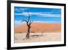 Sossusvlei, Namibia-Ivana Tacikova-Framed Photographic Print