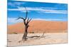 Sossusvlei, Namibia-Ivana Tacikova-Mounted Photographic Print