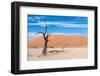 Sossusvlei, Namibia-Ivana Tacikova-Framed Photographic Print